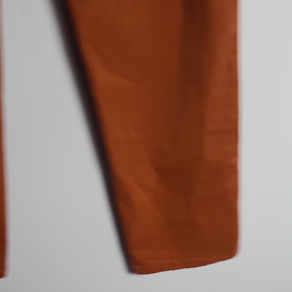 LUCKY BRAND Rust Orange Colored Pants With Blue Stripes Down Side Size 12/31 - Picture 11 of 16
